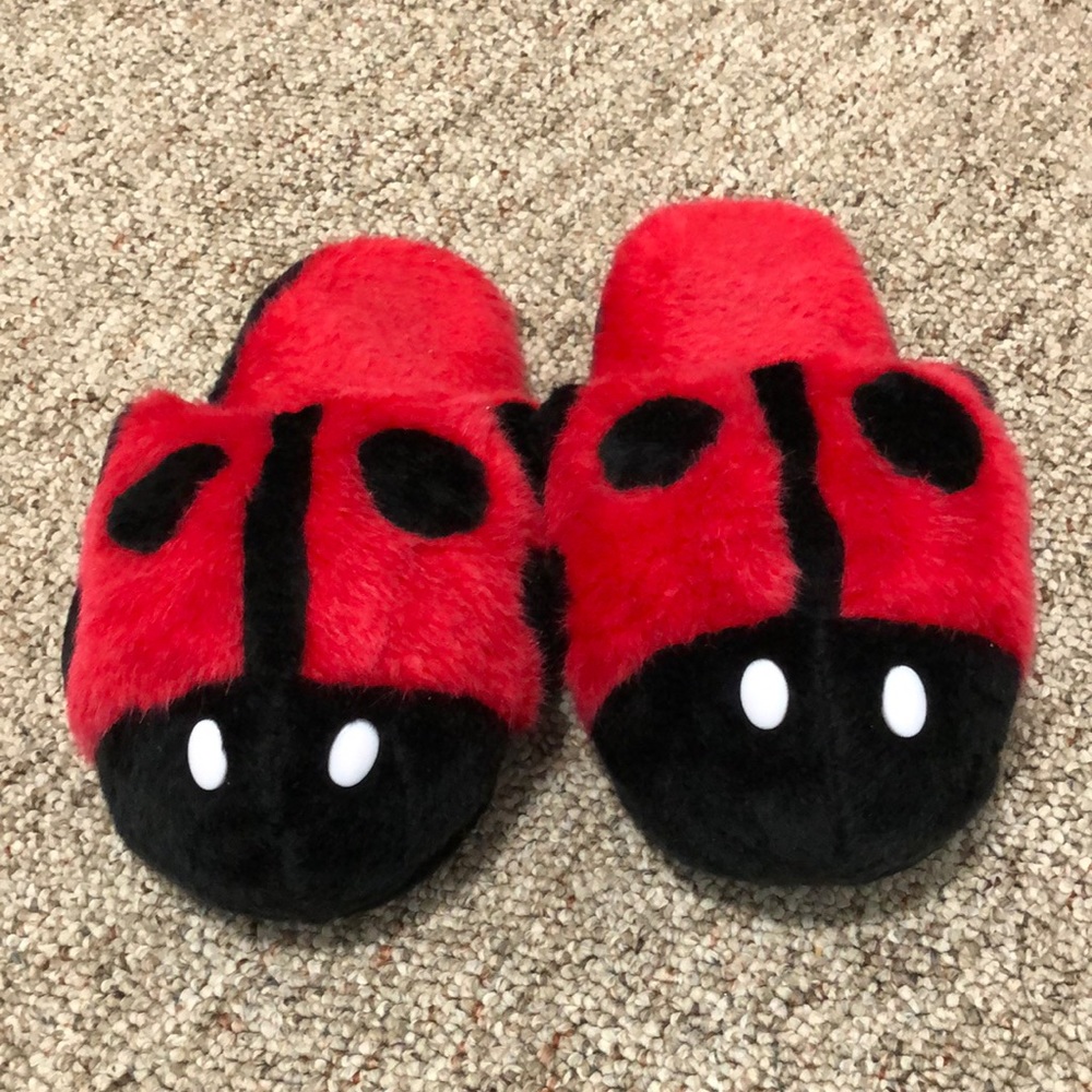 Women’s Ladybug 🐞 slippers